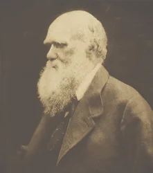 Karol Darwin, 1868, druk ok. 1893.