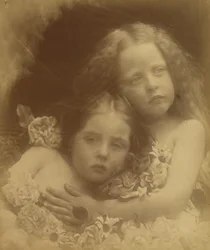 Angielskie kwiaty, 1873.