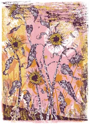 son sine sole iris, 2016 (sitodruk)