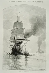 „Whalers Trying Out” (rzeźbienie wieloryba i wciąganie jego mięsa na pokład), za „Niebezpieczeństwa i romanse wielorybnictwa” w Century Magazine, sierpień 1890 (rycina)
