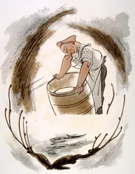 Humorous Wine Illustration 1946.Illustration autorstwa Julien Pavil