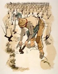 Ilustração humorística de vinho 1946.Ilustração de Julien Pavilpolish