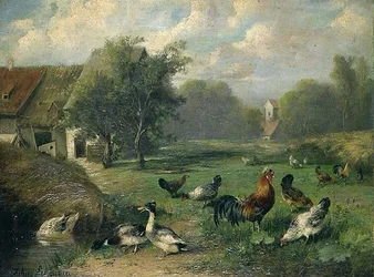 Kaczka i drób nad stawem