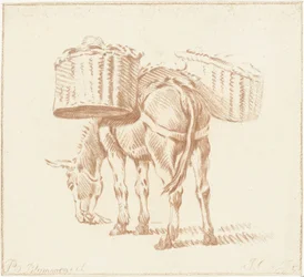 Załadowany osioł