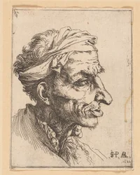 Mała groteskowa głowa
