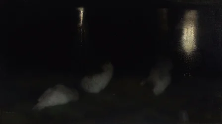 Nokturn. Łabędzie w Ogrodzie Saskim w Warszawie nocą
