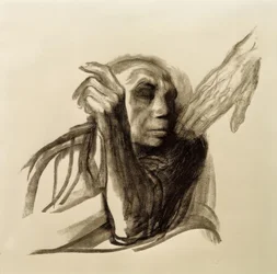 Käthe Kollwitz, Zew śmierci