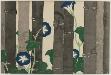 Kwiaty setek światów (Momoyogusa): Morning Glories (Asagao)