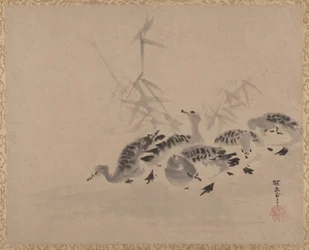 Kaczki i trzciny, ca. 1650.