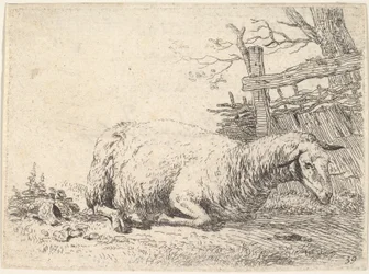 Owca leżąca z nogami podwiniętymi pod ciałem przy drewnianym płocie, ona…, ca. 1655.