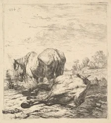 Dwa konie, XVII wiek.