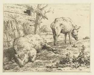 dwa knury