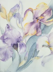 Mieszanka Iris, Ola Kale i Mary Todd