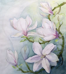 Magnolie (wc)