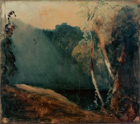 Las i jezioro