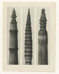 zaplanuj naukę Archetypy sztuki (tytuł serii)
