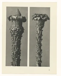 zaplanuj naukę Archetypy sztuki (tytuł serii)