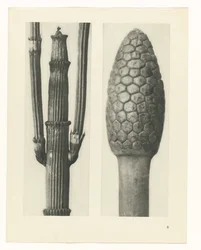 zaplanuj naukę Archetypy sztuki (tytuł serii)
