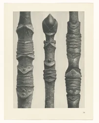 zaplanuj naukę Archetypy sztuki (tytuł serii)