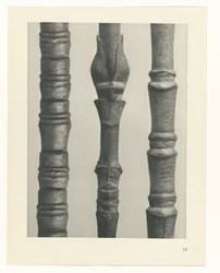 zaplanuj naukę Archetypy sztuki (tytuł serii)