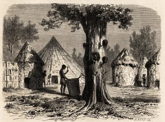 Drzewo wojny we wsi Djour, region Bahr-el-Gazal, Sudan, rysunek Karla Girardeta (1813-1871) ilustrujący podróż nad rzekę gazeli A. Bolognesi w latach 1856-1857. Grawerowanie w „”Le tour du monde””, pod redakcją Edouarda Chartona