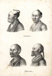 Popiersia Japończyków z fryzurą typu chonmage z czubkiem głowy i Chińczykami z brodami, jeden z warkoczem. Litografia Karla Josepha Brodtmanna z Ilustrowanej historii naturalnej ludzi i zwierząt Heinricha Rudolfa Schinza
