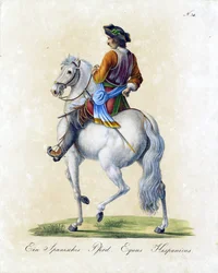 Hiszpański koń (druk)