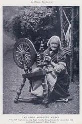 Irlandzkie kołowrotek (zdjęcie czarno-białe)