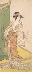 Segawa Chryzantema Kobieta Dobrze, co? 1785.