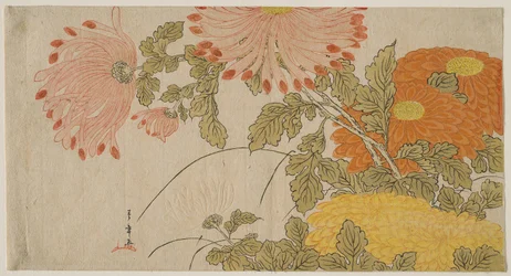 Chryzantemy, ok. 1780 r. (drzeworyt kolorowy; surimono)