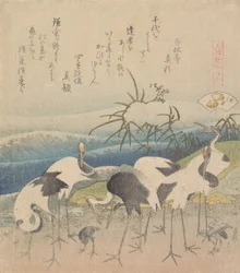 Foot Cam, z serii s Genroku River Meeting, 1821.