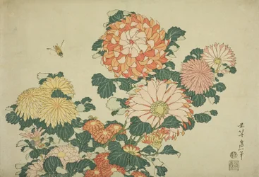 Chryzantemy i pszczoły, z serii bez tytułu Duże kwiaty, ok. 1833-34