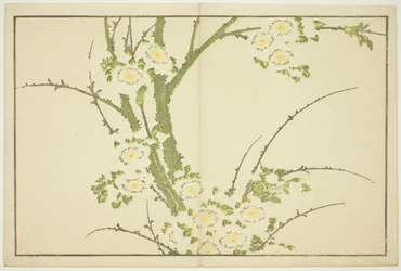 Kwiaty, z Księgi obrazkowej realistycznych obrazów Hokusai (Hokusai shashin gafu)