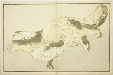 Lis, z Księgi obrazkowej realistycznych obrazów Hokusaia (Hokusai shashin gafu)