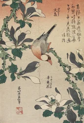 Wróbel jawajski i magnolia, c. 1832