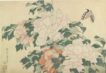 Piwonie i motyle, ok. 1930 r. 1830-1831