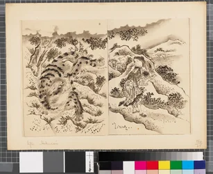 Sceny z wojny między Japonią a Koreą, koniec XVIII - pierwsza połowa XIX wieku (tusz i płótno na papierze)