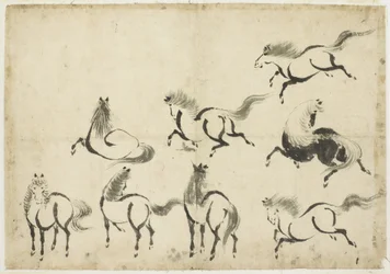 Studia koni, ok. 1815-1849