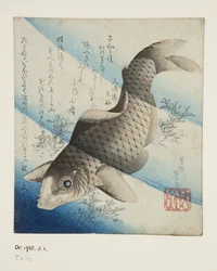 Karp w wodzie (kolorowy drzeworyt)