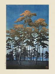 Park Hikawa w Omiya (1930) autorstwa Kawase Hasui i Watanabe Shozaburo