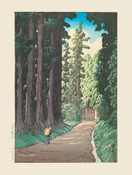 Nikko Gaido (Droga do Nikko) (1930)