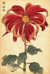 Hybryda szkarłatno-różowa chryzantema.,1893 (grafika)