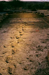 DOH; The First Steps, 3,6 miliona lat, ślady stóp w mokrym popiele wulkanicznym, odkryte..., 2008 (zdjęcie)