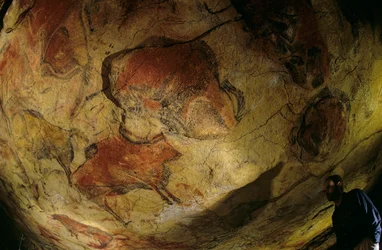 Galeria żubrów, jaskinia Altamira, Hiszpania, 2000 r. (zdjęcie)