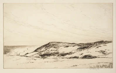 Wyżyna, Cape Cod