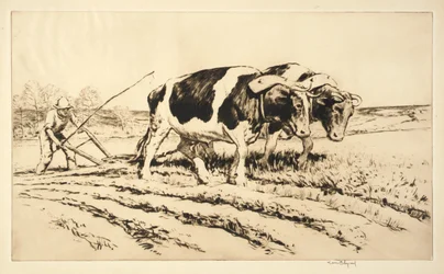 Wiosenna orka