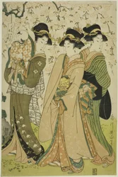 Słynne drzewa we wschodniej stolicy: Wiśnia w Naruko (Toto meiboku Naruko no sakura)