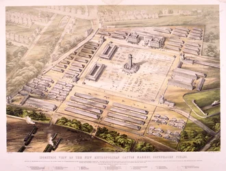 Metropolitan Cattle Market, Londyn, 1855