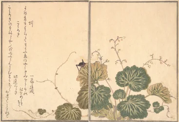 Dżdżownica Mimizu, Cricket Korogi..., 1788.