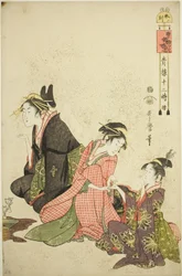 Zdjęcie owcy (krainy owiec), z Te Serie ``Telve Law Member Yoshiwara (kontynuacja drzewa Seiro)